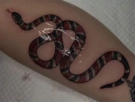 gucci bee tattoo|Gucci snake tattoo meaning.